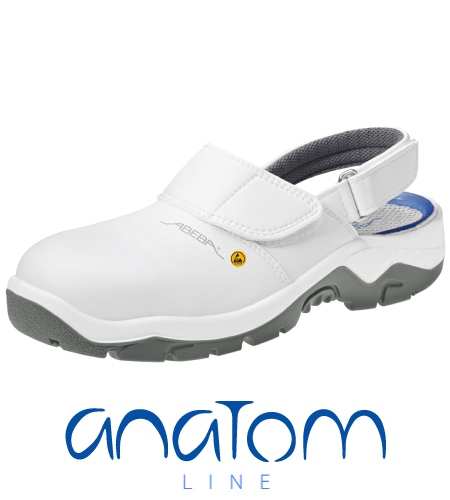 Anatom